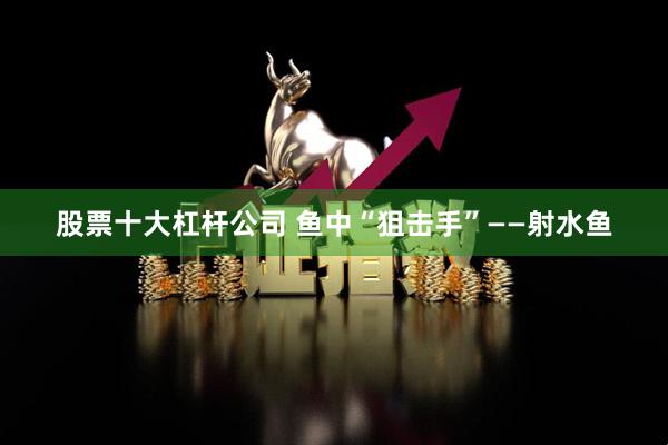 股票十大杠杆公司 鱼中“狙击手”——射水鱼