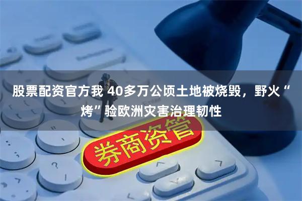 股票配资官方我 40多万公顷土地被烧毁，野火“烤”验欧洲灾害治理韧性